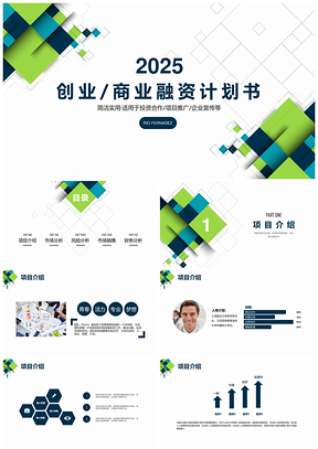2025多色彩简洁实用创业商业项目融资计划书PPT模板