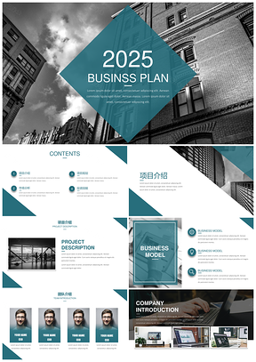 2025产品介绍素雅灰色简约商业计划书PPT模板