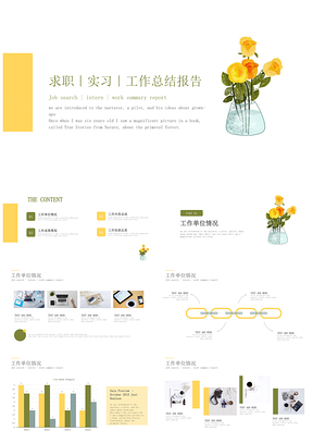 黄色求职｜实习｜工作总结报告手绘绿植通用PPT模板