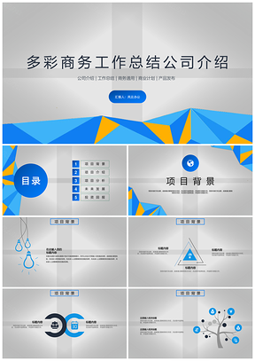 多彩商务企业管理工作总结PPT