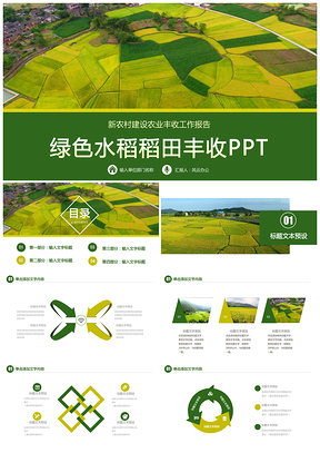 绿色农业水稻麦田种植农作物丰收新农村建设农产品推广招商PPT模板