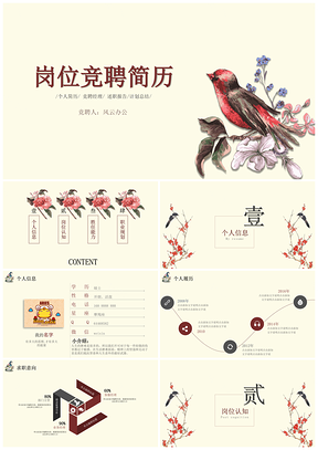 彩色文艺范儿求职竞聘简历竞聘述职PPT模板