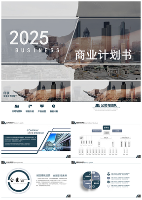 2025灰色大气商务工作商业计划书PPT模板