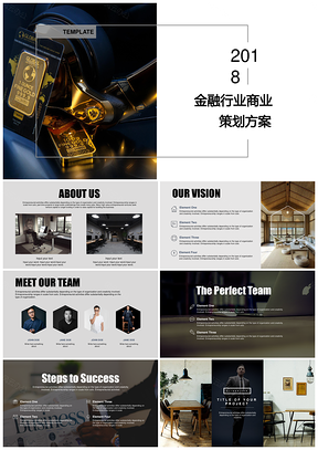 黑色202X项目推广计划金融行业商业策划静态PPT模板