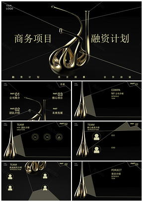 黑色鎏金高端大气商务融资计划书团队介绍产品发布PPT模板
