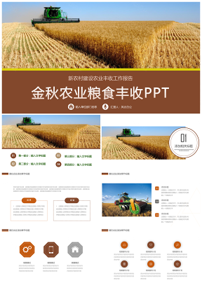 黄色农业丰收新农村粮食收获农作物丰收食品加工PPT模板