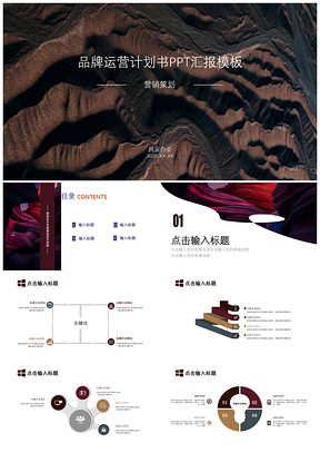 2025彩色品牌运营计划书PPT模板