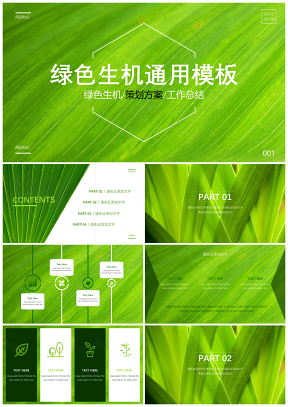 绿色清新生态通用PPT模板