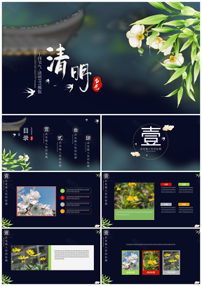 绿色二十四节气清明PPT模板