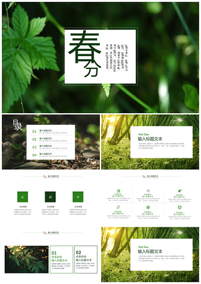 白色小清新春天春分节气通用PPT模板