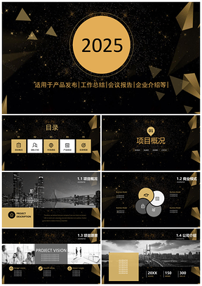 2025黑色高端黑金商务汇报PPT模板