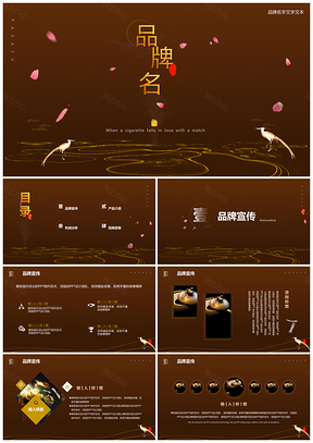 彩色中国风产品介绍品牌招商PPT模板