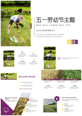 2025绿色五一劳动节农业招商加盟PPT模板