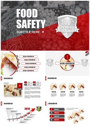 食品安全工作总结计划汇报PPT模板