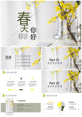 彩色文艺清新春天你好工作总结工作计划个人述职PPT模板