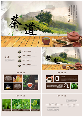 彩色清新茶道展示茶艺茶文化茶馆PPT模板