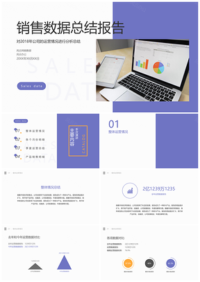 销售数据演示轻简PPT模板