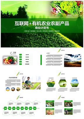 绿色互联网加有机农业农副产品推广商业计划书PPT模板