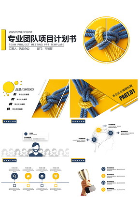 2025黄色专注商务团队项目计划书PPT模板