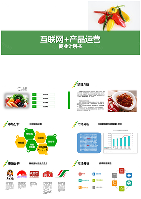 绿色网络运营商业计划书PPT模板