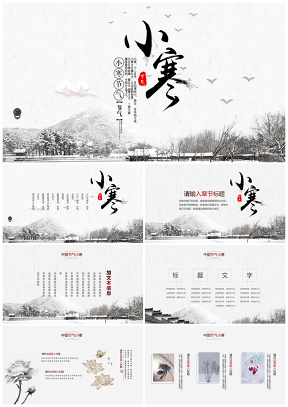 红色中国风中国节气小寒节日汇报简介PPT模板