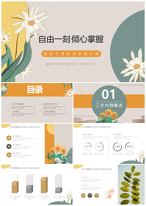 彩色莫兰迪公司年度月度总结汇报PPT模板