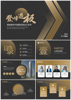黑色高端商务中国黑金商业计划书PPT模板