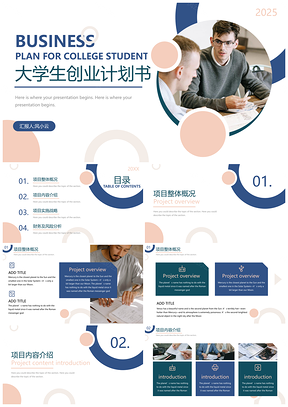 2025彩色大学生创业项目计划书PPT模板