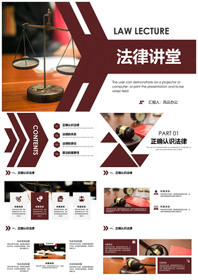灰色简约法律知识法律讲堂PPT模板