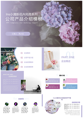 白色ins小清新系列公司项目介绍PPT模板