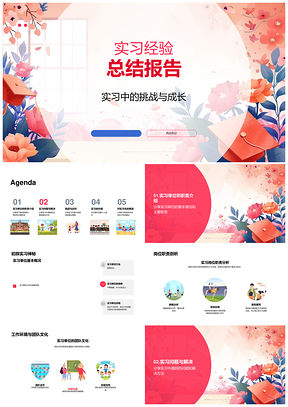 实习经验挑战成长工作环境团队文化解决策略总结