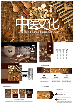 中医医药中草药医疗药膳养生PPT模板