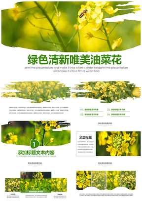 春季油菜花节小清新乡村风景旅游PPT模板