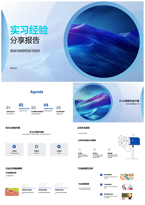 实习公司行业趋势职位工作技能挑战经验分享PPT模板
