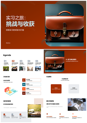实习挑战收获行业经验与企业文化价值PPT模板