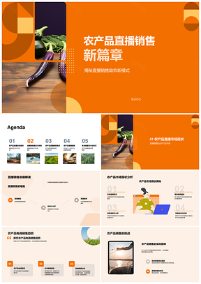 双十一农产品电商直播销售趋势PPT模板