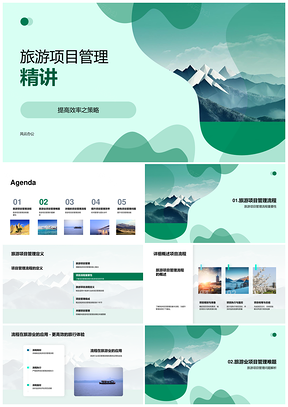 旅游项目系统管理效率提升案例分析PPT模板