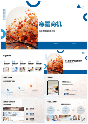 寒露商机秋冬季产品开发与营销趋势策略PPT模板