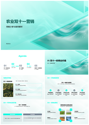 农业双十一电商营销策略案例行业方案PPT模板