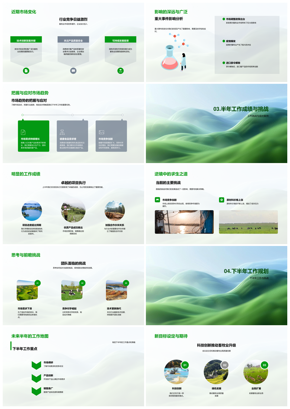 畜牧业半年工作总结项目计划市场应对策略成绩PPT模板