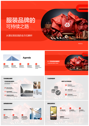 服装品牌可持续发展策略实施案例分析PPT模板