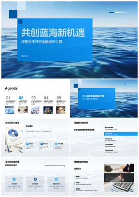 蓝海金融创新深度合作新机遇PPT模板