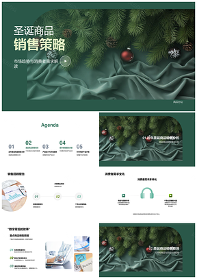 圣诞商品市场趋势消费者需求与产品开发策略PPT模板