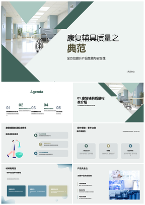 康复辅具质量评估与服务创新PPT模板