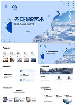 大雪雪域摄影技巧PPT课件