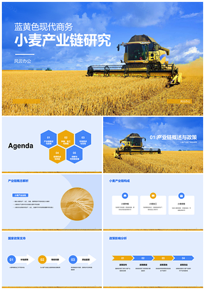 蓝黄现代商务小麦农业产业链研究PPT模板
